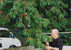 Vaucluse-04