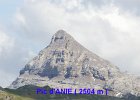 IMGP0297