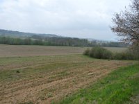 P1100006