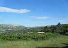 DSCF5755