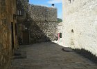 DSCF5761