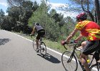 cambrils 2 125 : cambrils 2