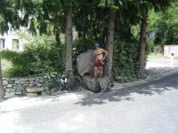 DSCF6118