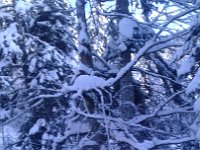 20170119 102614