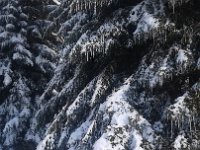 20170119 111929