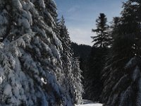 20170119 130642