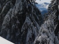 20170119 133923